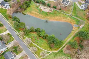 210 Pond View Ln, Fort Mill, SC 29715 - Photo 41