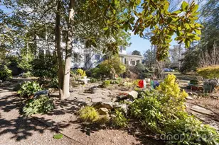 509 Clement Ave, Charlotte, NC 28204 - Photo 41