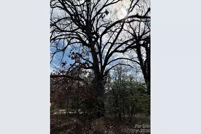 41 Maney Avenue, Asheville, NC 28804 - Photo 3