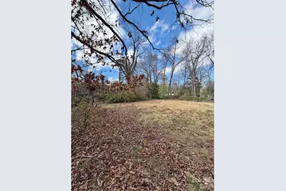 41 Maney Avenue, Asheville, NC 28804 - Photo 5