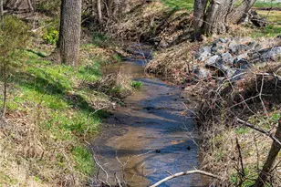 994 Riceville Rd, Asheville, NC 28805 - Photo 47