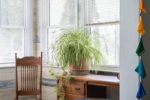 994 Riceville Rd, Asheville, NC 28805 - Photo 29