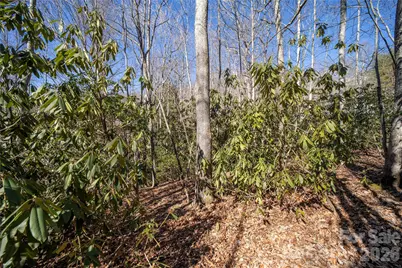 2310 Golf Club Court, Hendersonville, NC 28739 - Photo 13