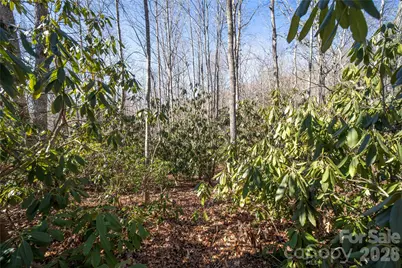 2310 Golf Club Court, Hendersonville, NC 28739 - Photo 11