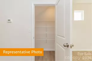 6117 Jasmine Br Rd, Charlotte, NC 28216 - Photo 9