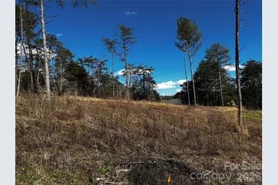 99999 Pine Forest Drive #B2, Weaverville, NC 28787 - Photo 5