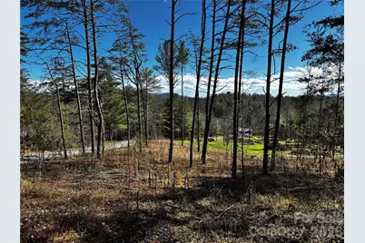 99999 Pine Forest Drive #B2, Weaverville, NC 28787 - Photo 1