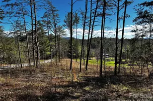 99999 Pine Forest Dr, Weaverville, NC 28787 - Photo 1