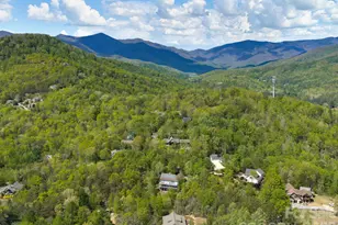 43 Galax Ln, Black Mountain, NC 28711 - Photo 37
