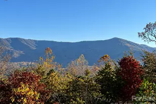 43 Galax Ln, Black Mountain, NC 28711 - Photo 37