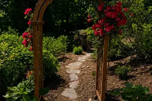 43 Galax Ln, Black Mountain, NC 28711 - Photo 7