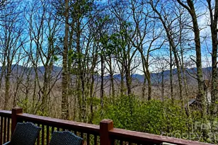 43 Galax Ln, Black Mountain, NC 28711 - Photo 43
