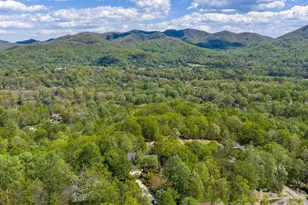43 Galax Ln, Black Mountain, NC 28711 - Photo 39