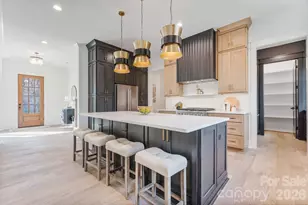 636 American Bittern Way, Clover, SC 29710 - Photo 11