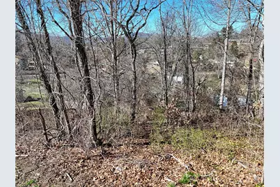 131 Skyline Drive #31, Canton, NC 28716 - Photo 9