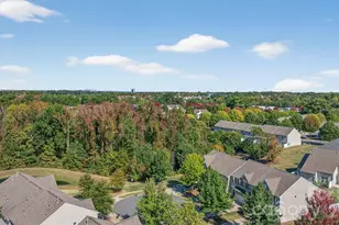 11515 Elizabeth Madison Court, Charlotte, NC 28277 - Photo 23