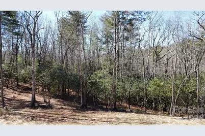 000 Bulling Creek Road, Hendersonville, NC 28739 - Photo 3