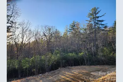 000 Bulling Creek Road, Hendersonville, NC 28739 - Photo 1
