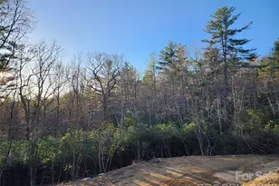 000 Bulling Creek Rd, Hendersonville, NC 28739 - Photo 1