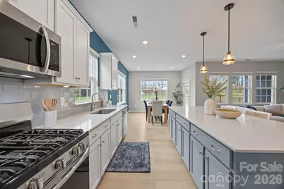 154 White Apple Way, Statesville, NC 28625 - Photo 17