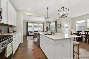 15748 Country House St, Charlotte, NC 28273 - Photo 11