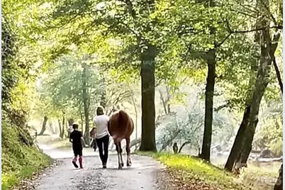 5915 River Hollow Trail #758, Lenoir, NC 28645 - Photo 25