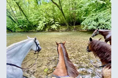 5915 River Hollow Trail #758, Lenoir, NC 28645 - Photo 29