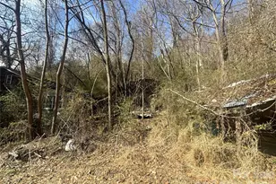 124 Candler Knob Rd, Asheville, NC 28806 - Photo 17