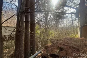 124 Candler Knob Rd, Asheville, NC 28806 - Photo 11