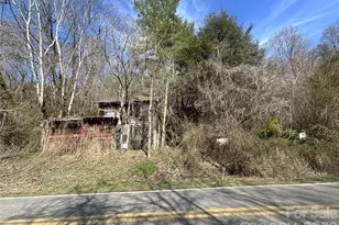 124 Candler Knob Rd, Asheville, NC 28806 - Photo 3