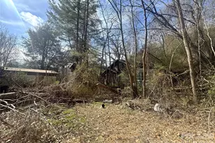 124 Candler Knob Rd, Asheville, NC 28806 - Photo 19