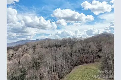 63 Alpaugh Drive, Waynesville, NC 28786 - Photo 45