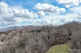 63 Alpaugh Dr, Waynesville, NC 28786 - Photo 45