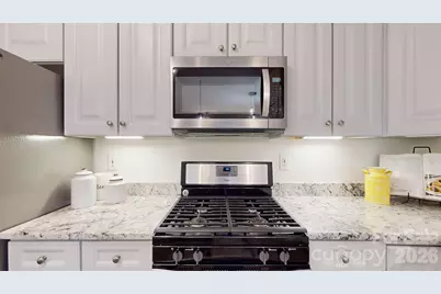 902 Platinum Drive, Fort Mill, SC 29708 - Photo 9