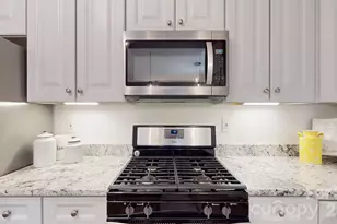 902 Platinum Dr, Fort Mill, SC 29708 - Photo 9