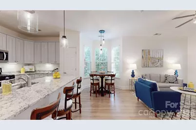 902 Platinum Drive, Fort Mill, SC 29708 - Photo 11