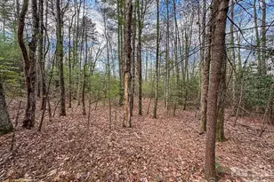 2201 Bulling Creek Rd, Penrose, NC 28766 - Photo 45