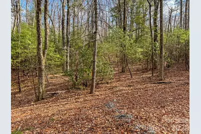 2201 Bulling Creek Road, Penrose, NC 28766 - Photo 47