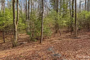 2201 Bulling Creek Rd, Penrose, NC 28766 - Photo 47