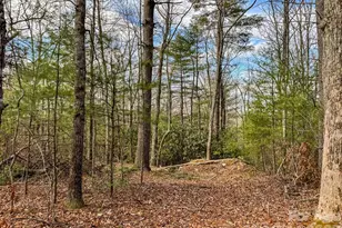 2201 Bulling Creek Rd, Penrose, NC 28766 - Photo 43