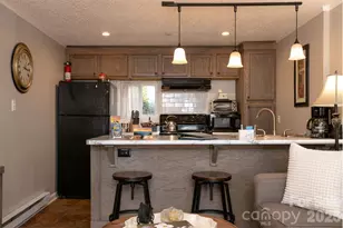 7 N Delano Rd, Asheville, NC 28805 - Photo 17