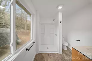 86 Chestnut Hill Rd, Gerton, NC 28735 - Photo 23