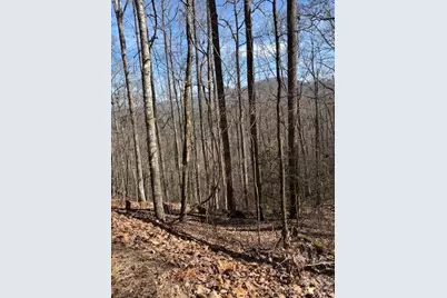 Lot 13 Henderson Road, Franklin, NC 28734 - Photo 5