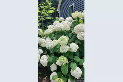 3327 Greenville Highway, Flat Rock, NC 28731 - Photo 33