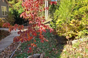 3327 Greenville Hwy, Flat Rock, NC 28731 - Photo 37