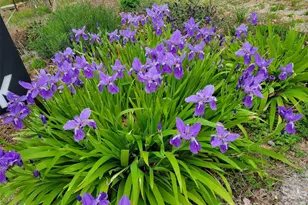 2262 Grandview Peaks Dr, Nebo, NC 28761 - Photo 41