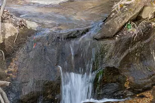 508 Avery Creek Rd, Arden, NC 28704 - Photo 37