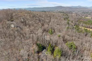 6 Ravenwood Ln, Horse Shoe, NC 28742 - Photo 39