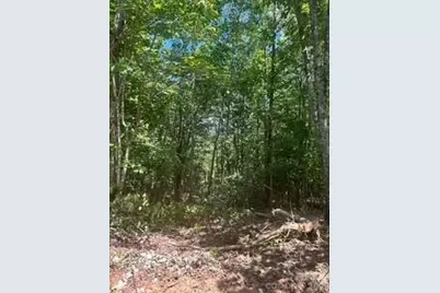 0000 Duck Creek Road, Lenoir, NC 28645 - Photo 3