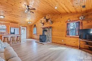 425 Rustic Ridge Dr, Canton, NC 28716 - Photo 21